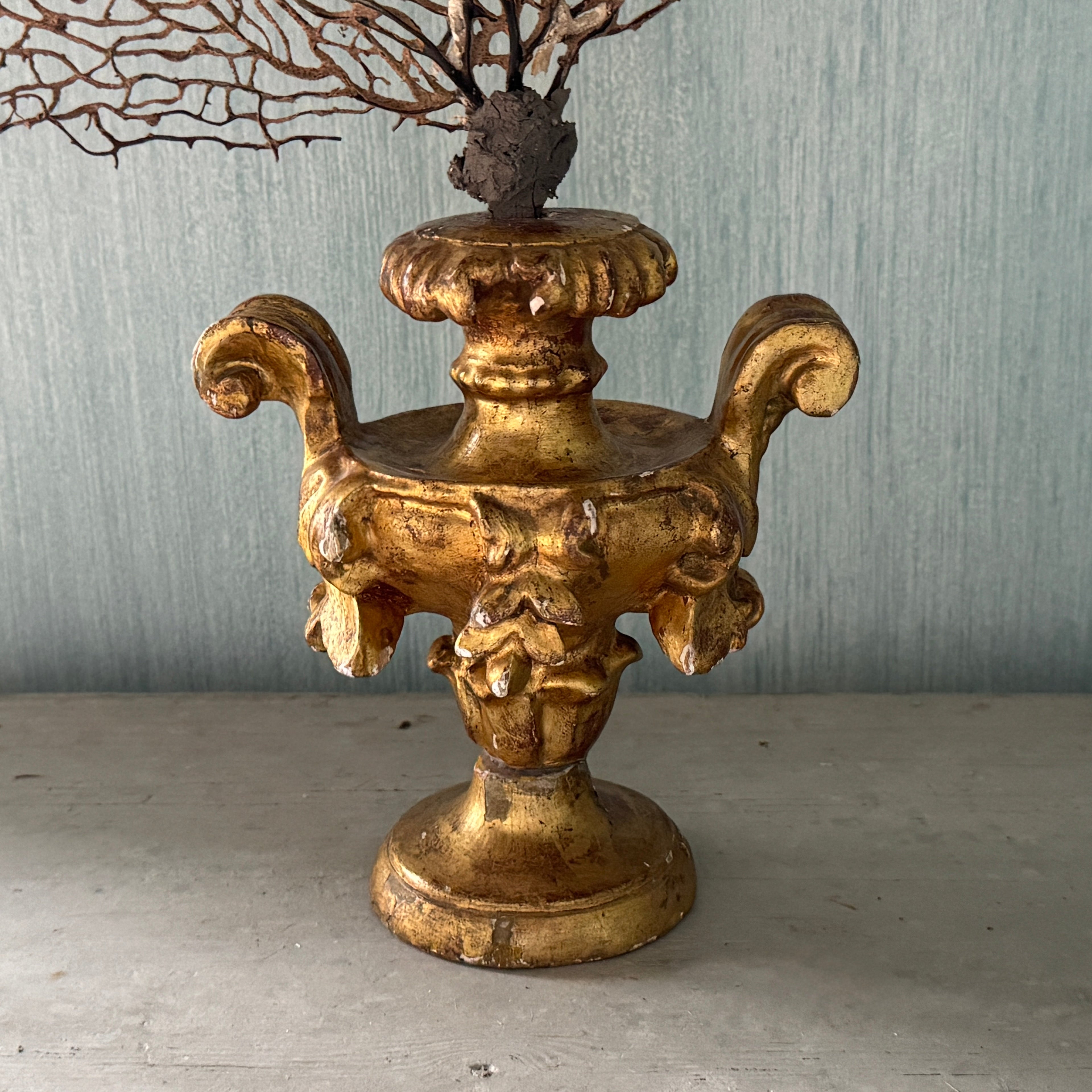 Palmier en or du XVIIIe siècle avec gorgone