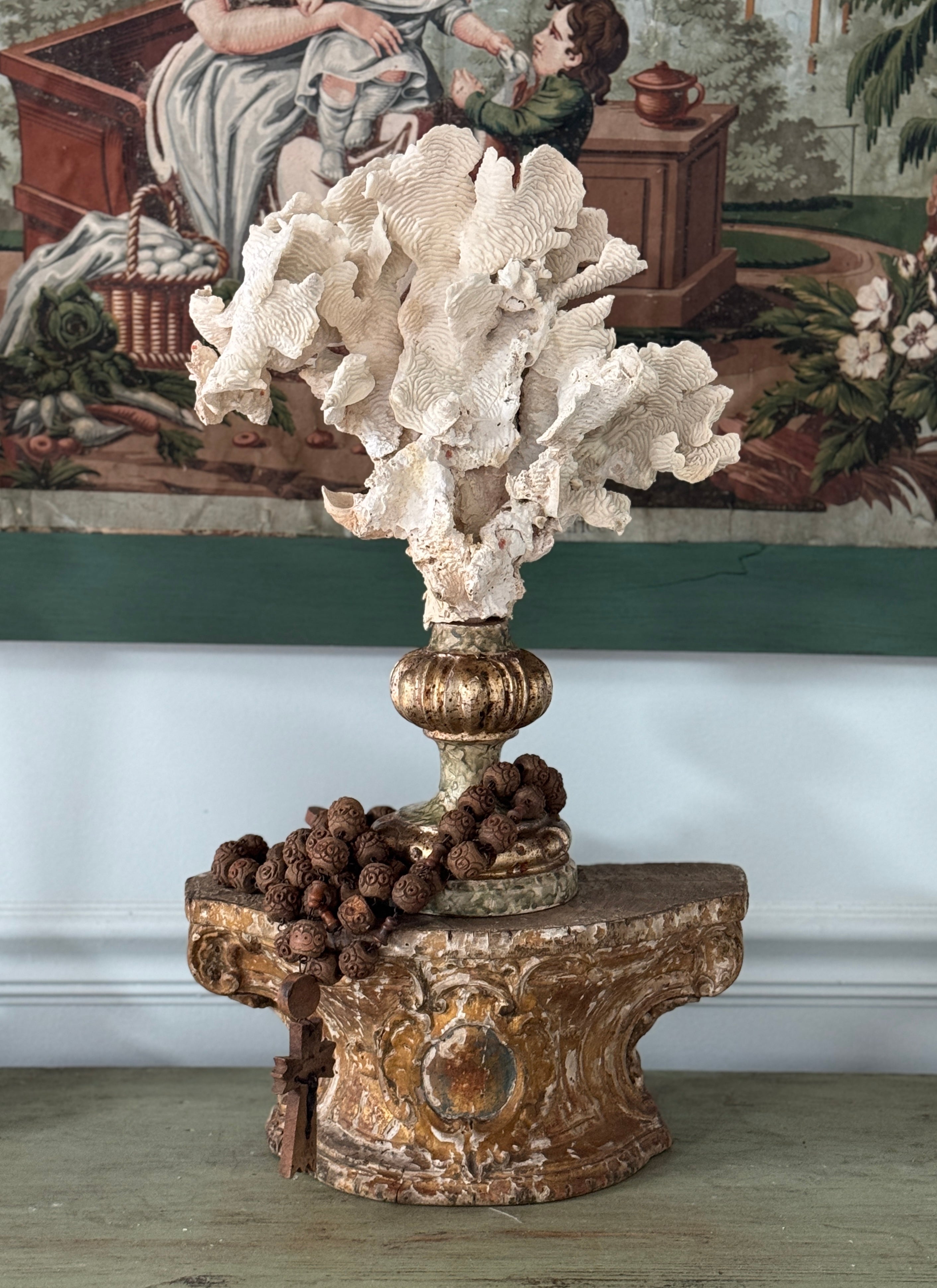 Corail monté sur un fragment antique