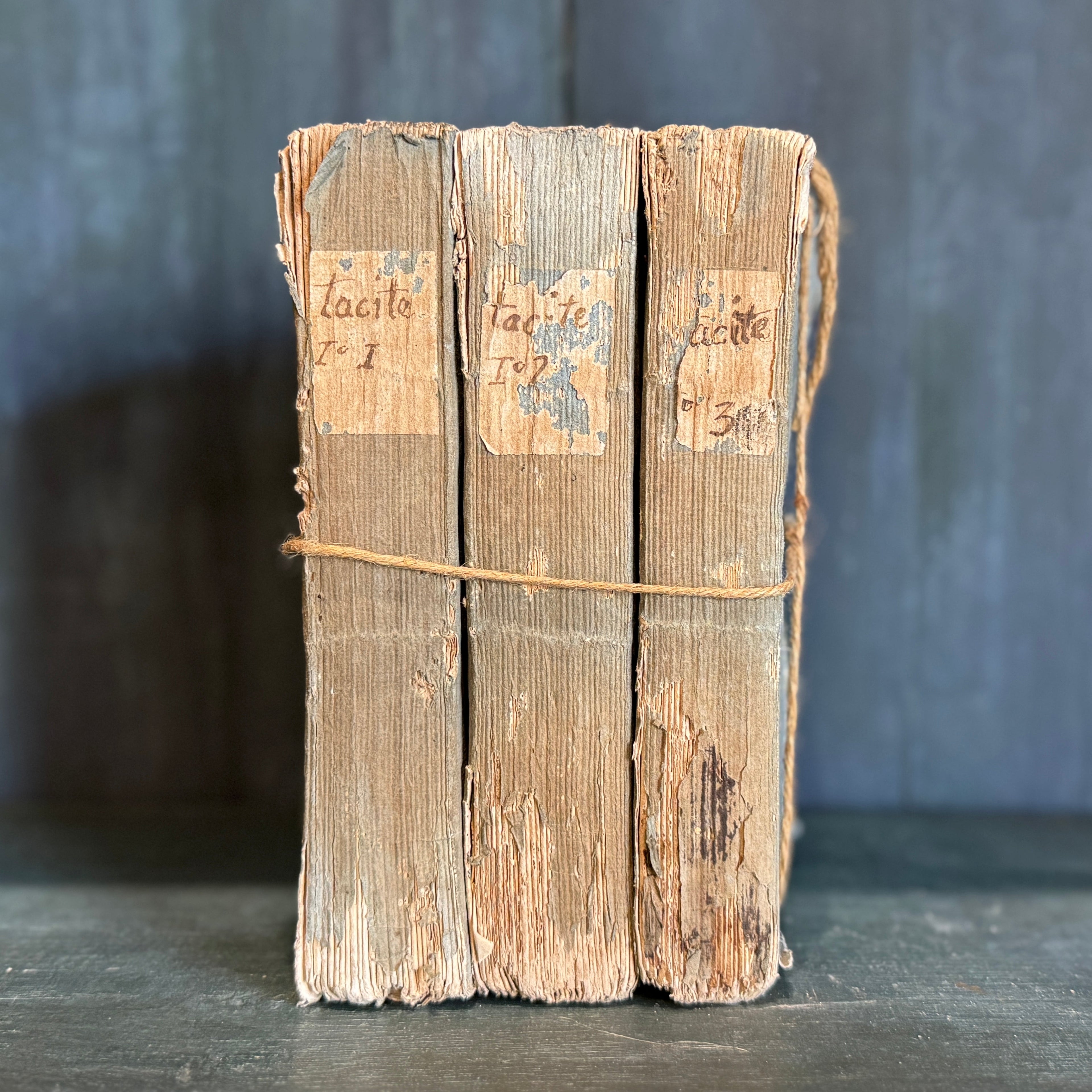 Lot de 3 livres de poche bleus antiques