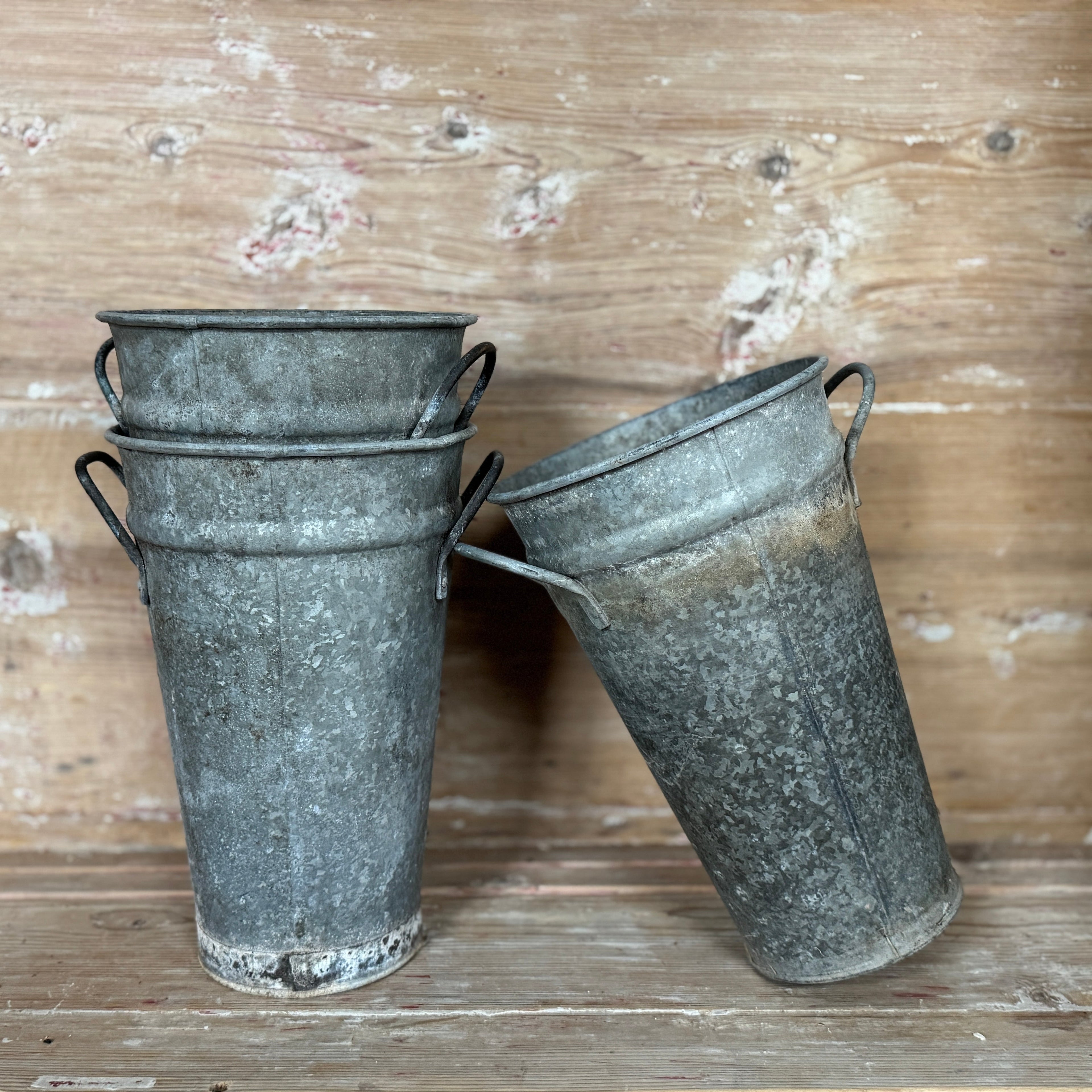 Récipient Fleuriste Vintage, Français