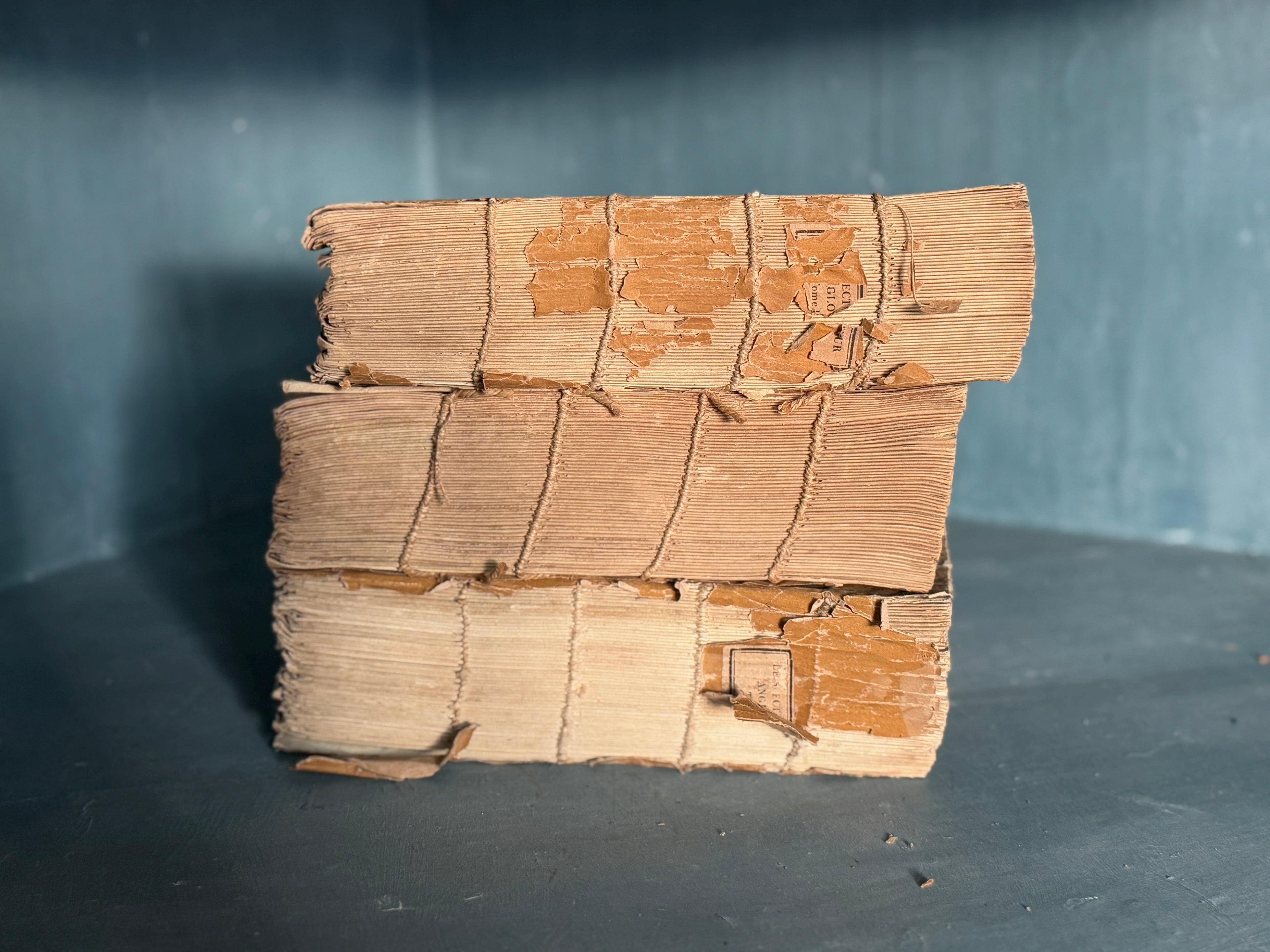 Ensemble de 3 livres angloise moutarde anciens