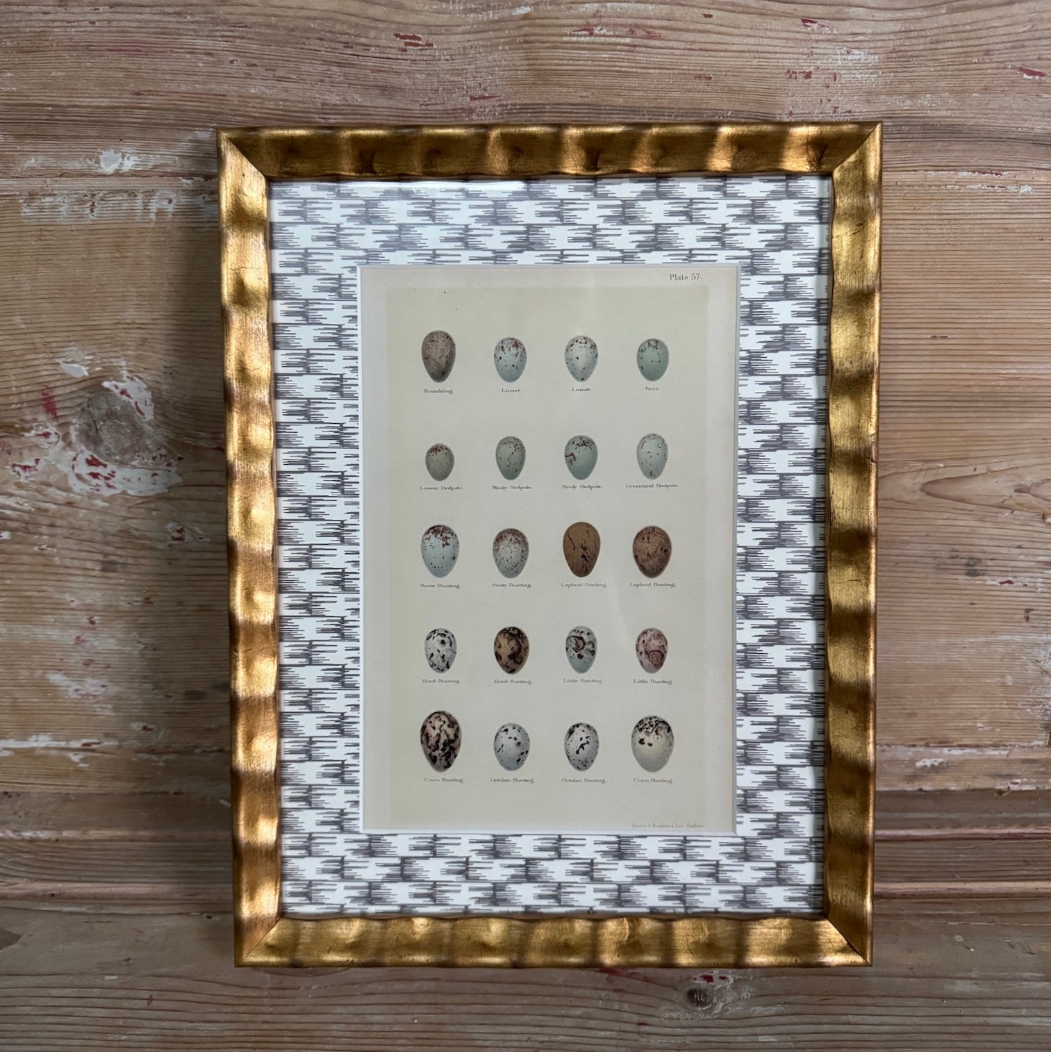 Impression d'œuf antique encadrée avec tapis de papier peint à motifs en osier