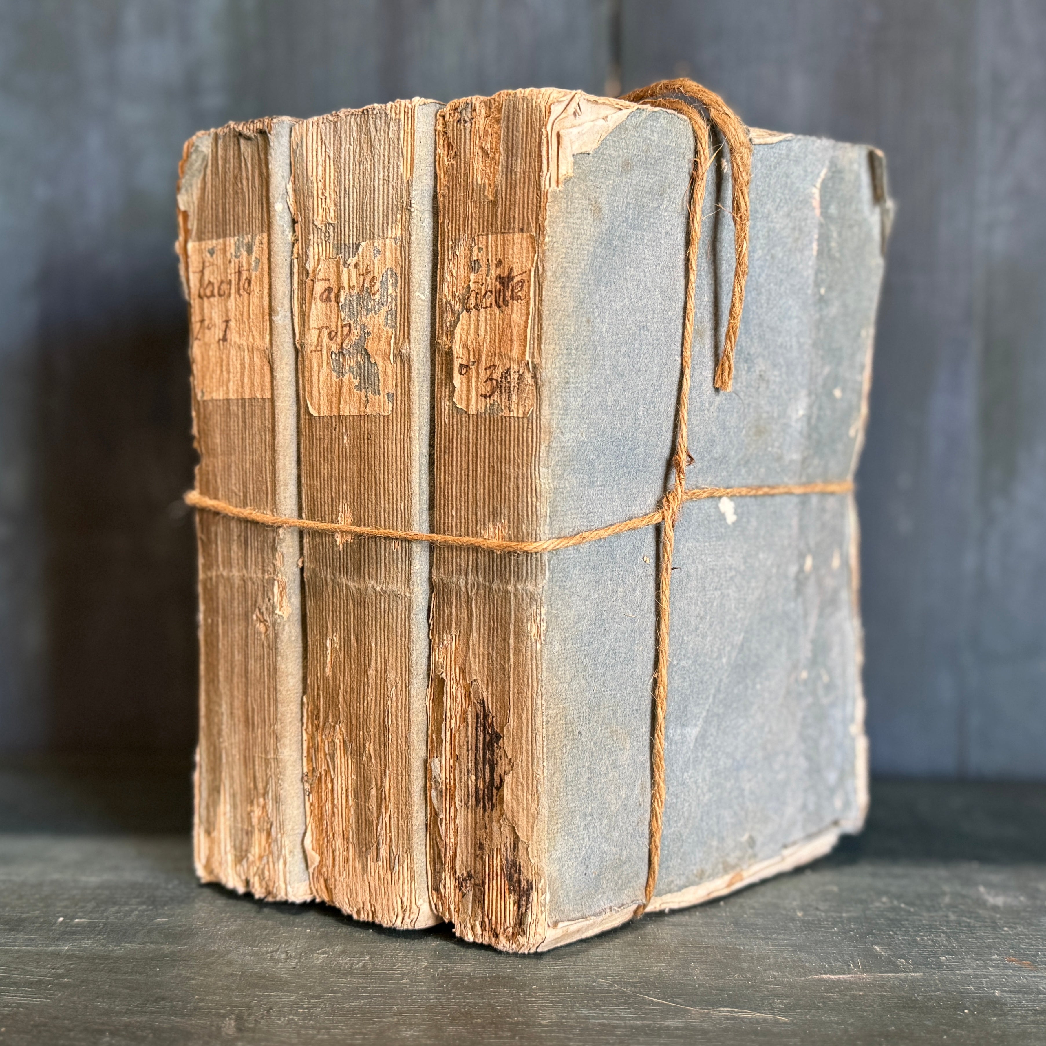 Lot de 3 livres de poche bleus antiques