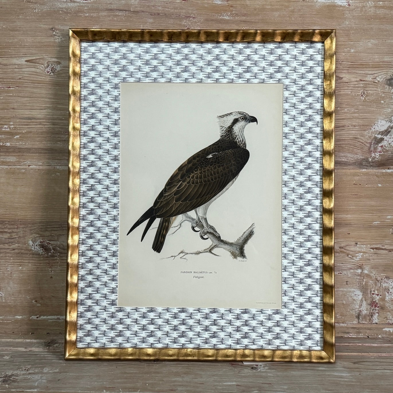 Impression d'oiseau antique sur papier peint à motifs en osier