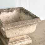 Paire de jardinières en béton du XXe siècle, magnifiquement vieillies
