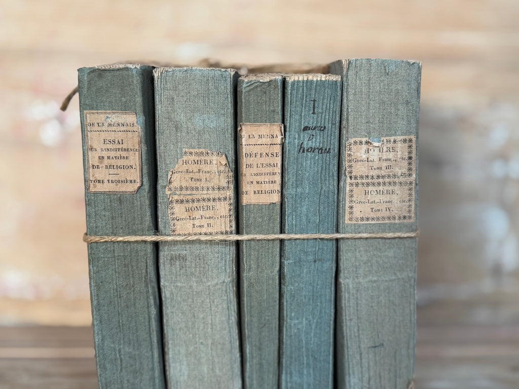 Ensemble de livres bleus panachés anciens