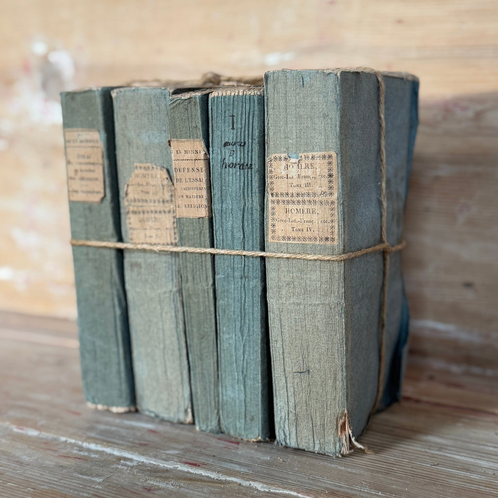 Ensemble de livres bleus panachés anciens