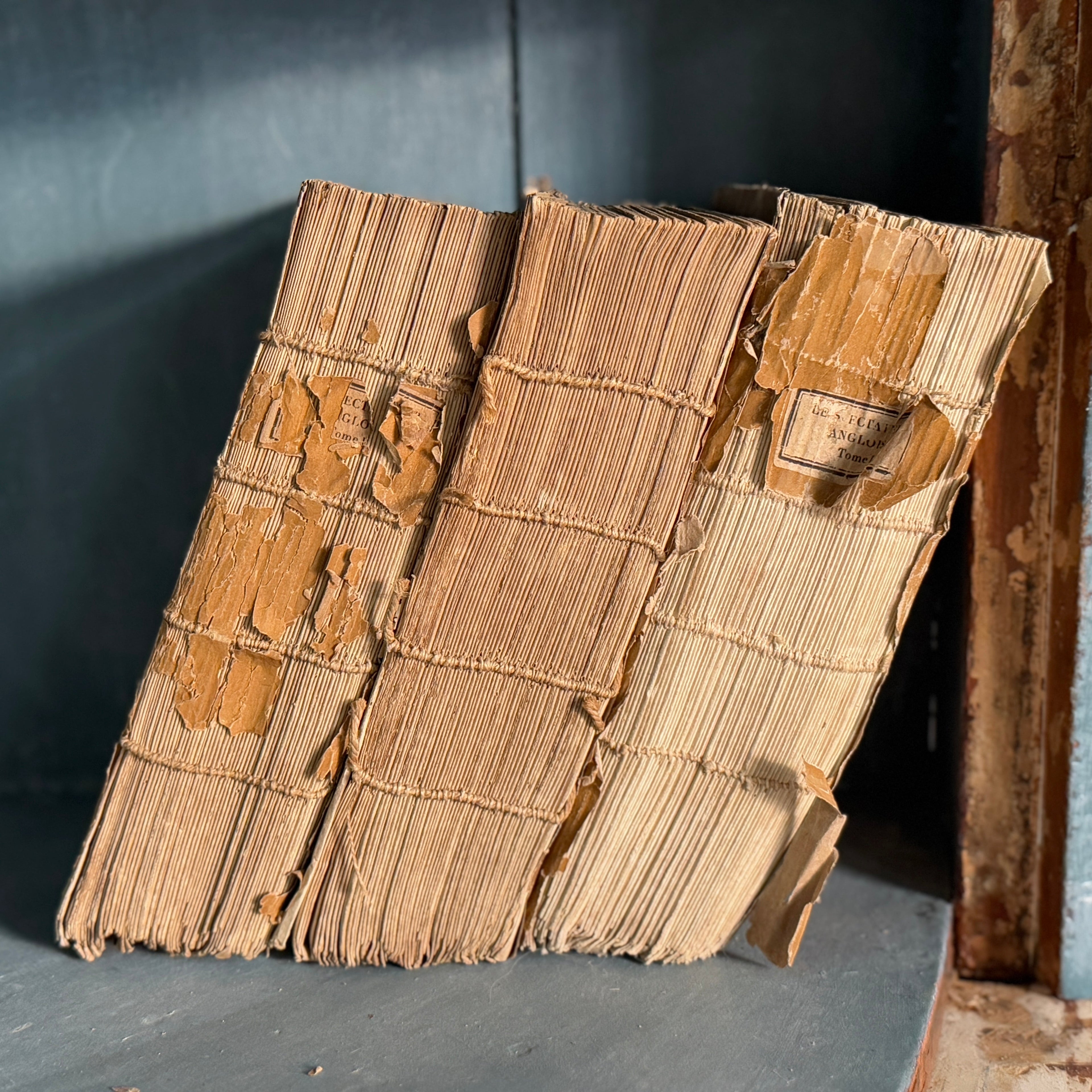 Ensemble de 3 livres angloise moutarde anciens