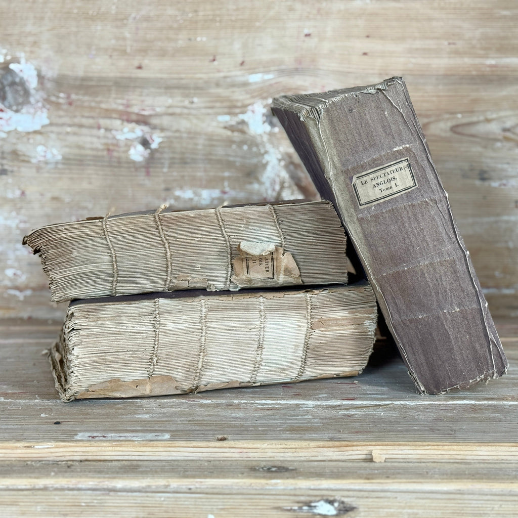 Lot de 3 livres anciens français aubergine